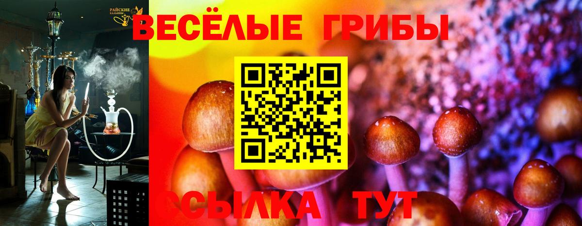 Галлюциногенные грибы Psilocybe Бутурлиновка