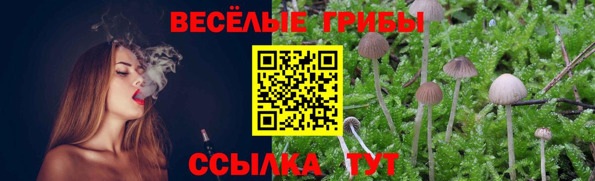 Псилоцибиновые грибы мицелий  Вход с VPN  Бутурлиновка 